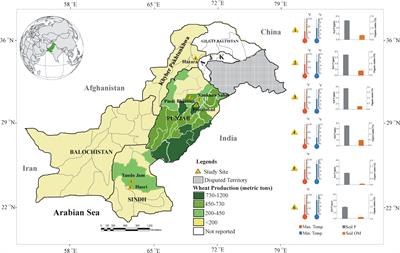 Integrated analysis of potential microbial consortia, soil nutritional status, and agro-climatic datasets to modulate P nutrient uptake and yield effectiveness of wheat under climate change resilience